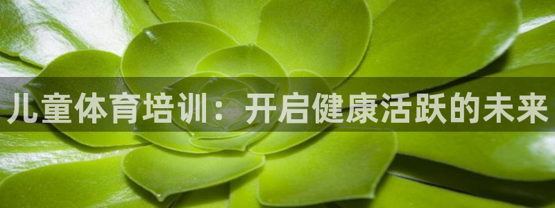 欧陆娱乐不让提现吗：儿童体育培训：开启健康活跃的未来