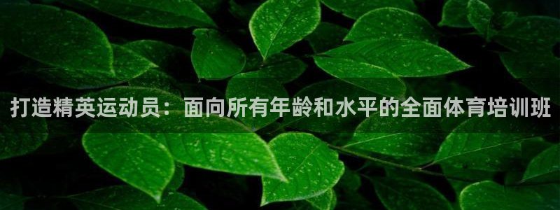欧陆娱乐官方网站入口：打造精英运动员：面向所有年龄和水平的全
