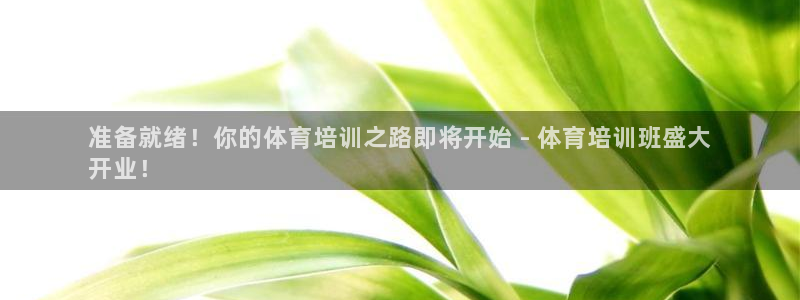 欧陆商城：准备就绪！你的体育培训之路即将开始 - 体