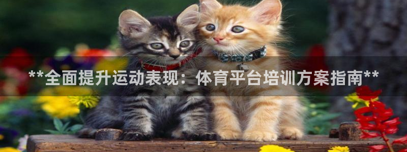 欧陆娱乐客服电话人工服务电话：**全面提升运动表现：