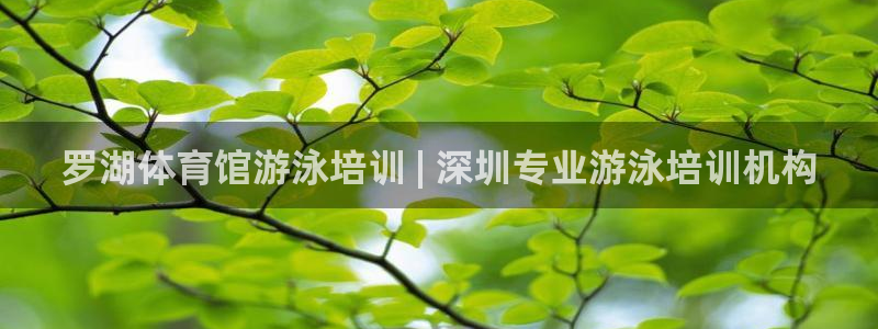 欧陆娱乐平台登录不上去怎么办：罗湖体育馆游泳培训 |